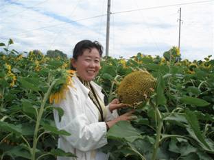 06年阿勒泰地區(qū)土肥站的專家在察看油葵示范地.jpg